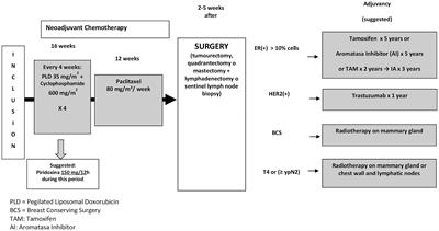 Long-Term Cardiac Safety and Survival Outcomes of Neoadjuvant Pegylated Liposomal Doxorubicin in Elderly Patients or Prone to Cardiotoxicity and Triple Negative Breast Cancer. Final Results of the Multicentre Phase II CAPRICE Study